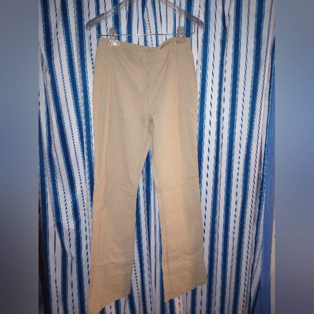 Charlotte Russe Flat front pants